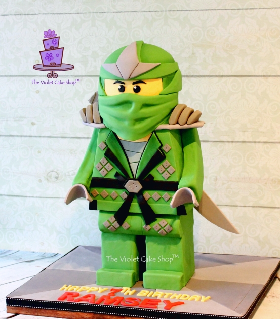 Ramsey's 7th Birthday Green Ninja from Lego Ninjago - side - twm TVCS